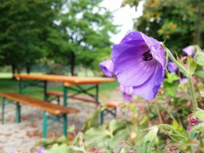 Фото: Hof-Biergarten Grenzebach